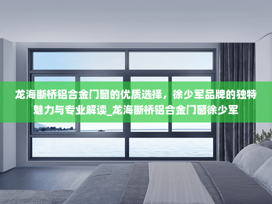 龙海断桥铝合金门窗的优质选择，徐少军品牌的独特魅力与专业解读_龙海断桥铝合金门窗徐少军