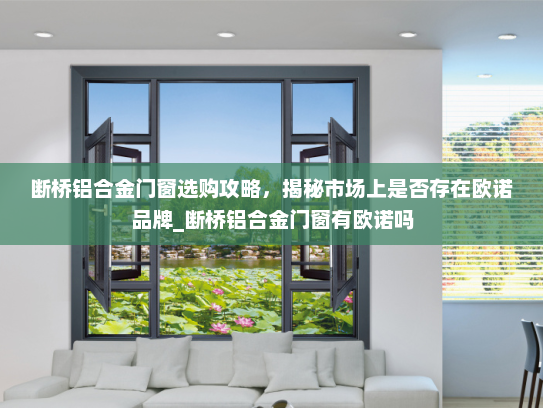 断桥铝合金门窗选购攻略，揭秘市场上是否存在欧诺品牌_断桥铝合金门窗有欧诺吗